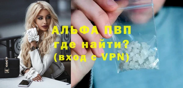 сатива Няндома