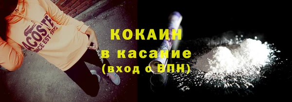 сатива Няндома