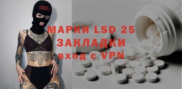 сатива Няндома