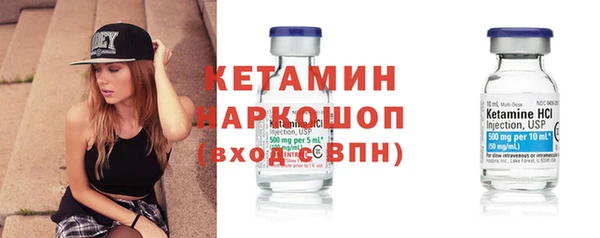 сатива Няндома