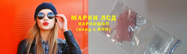 сатива Няндома