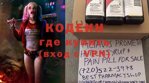 сатива Няндома