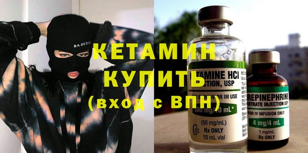 сатива Няндома
