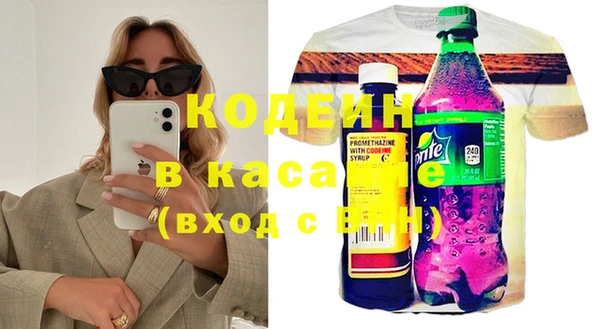 сатива Няндома