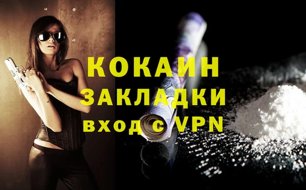 молекула духа Нягань