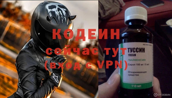 сатива Няндома