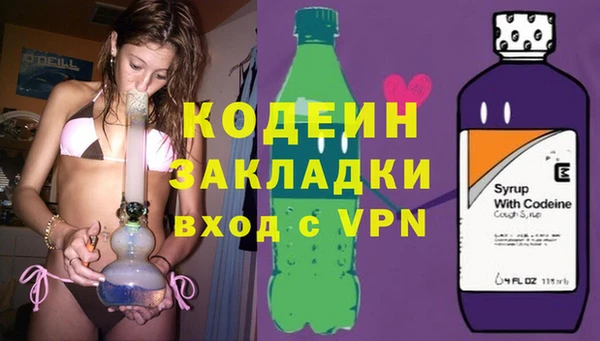 сатива Няндома