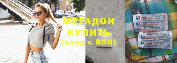 сатива Няндома