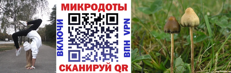 Псилоцибиновые грибы мицелий  Россошь 